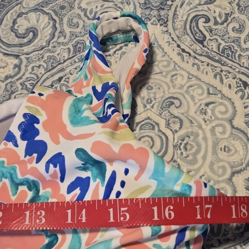 Raisins Curve Lucia V-neck Tummy Control Colorful Paisley Print Swim Dress 16W - Picture 14 of 16